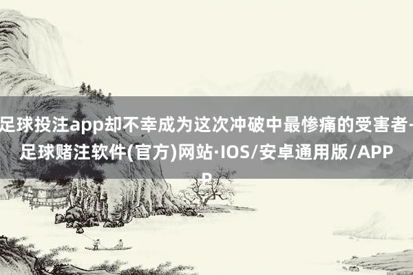 足球投注app却不幸成为这次冲破中最惨痛的受害者-足球赌注软件(官方)网站·IOS/安卓通用版/APP