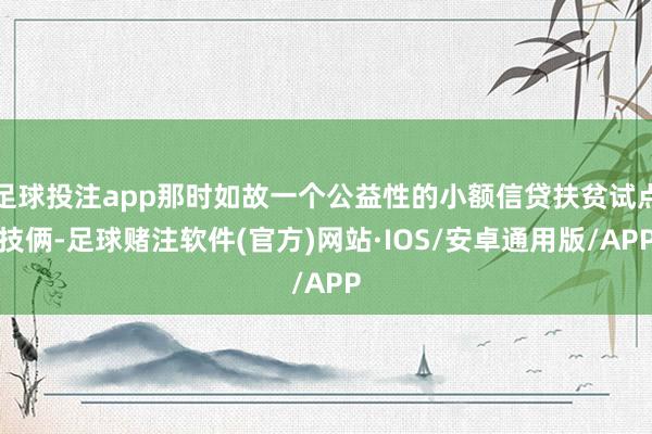 足球投注app那时如故一个公益性的小额信贷扶贫试点技俩-足球赌注软件(官方)网站·IOS/安卓通用版/APP