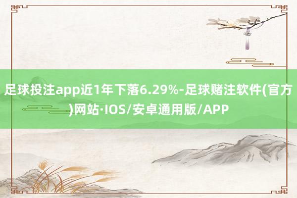 足球投注app近1年下落6.29%-足球赌注软件(官方)网站·IOS/安卓通用版/APP