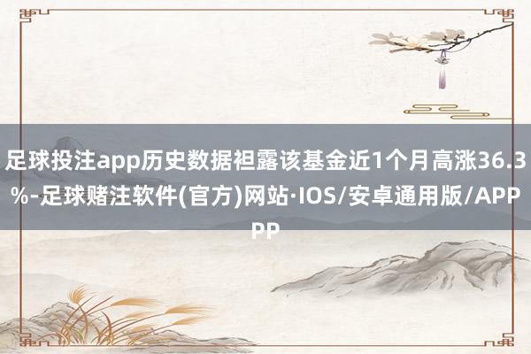 足球投注app历史数据袒露该基金近1个月高涨36.3%-足球赌注软件(官方)网站·IOS/安卓通用版/APP