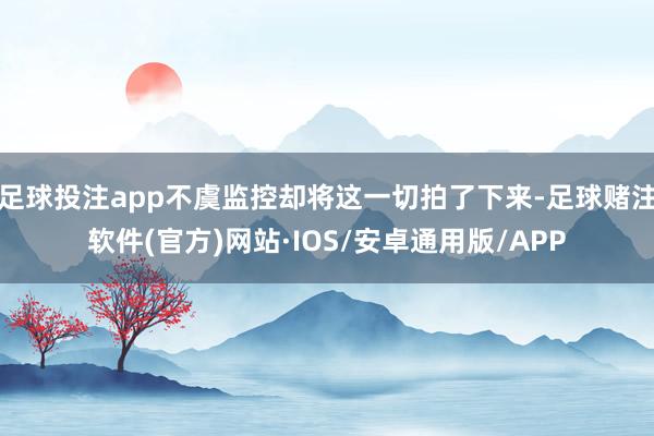 足球投注app不虞监控却将这一切拍了下来-足球赌注软件(官方)网站·IOS/安卓通用版/APP