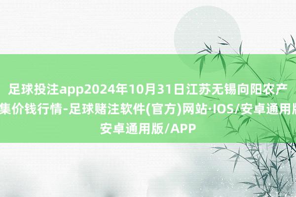 足球投注app2024年10月31日江苏无锡向阳农产物大市集价钱行情-足球赌注软件(官方)网站·IOS/安卓通用版/APP