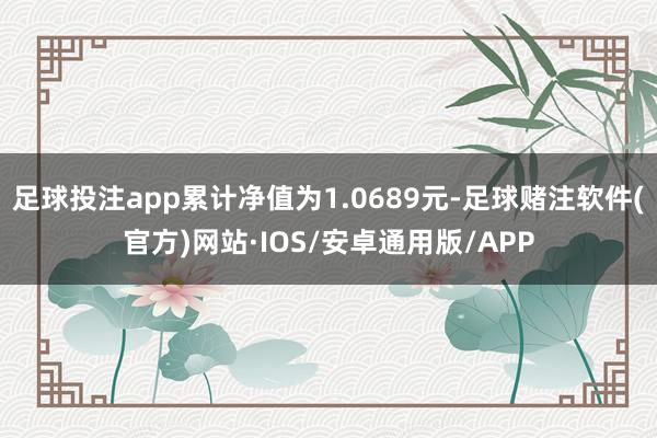 足球投注app累计净值为1.0689元-足球赌注软件(官方)网站·IOS/安卓通用版/APP