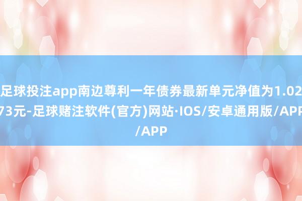 足球投注app南边尊利一年债券最新单元净值为1.0273元-足球赌注软件(官方)网站·IOS/安卓通用版/APP