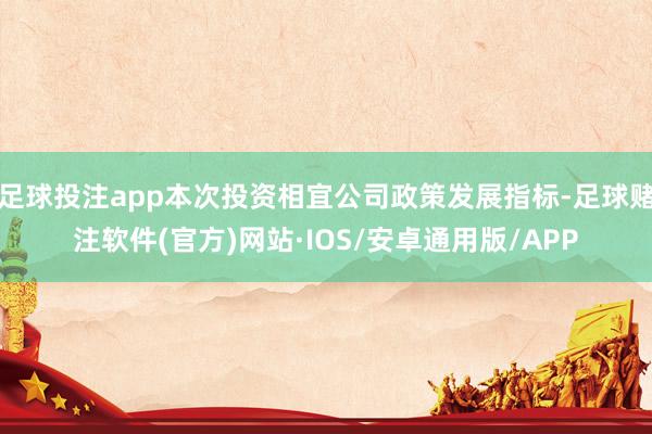 足球投注app本次投资相宜公司政策发展指标-足球赌注软件(官方)网站·IOS/安卓通用版/APP