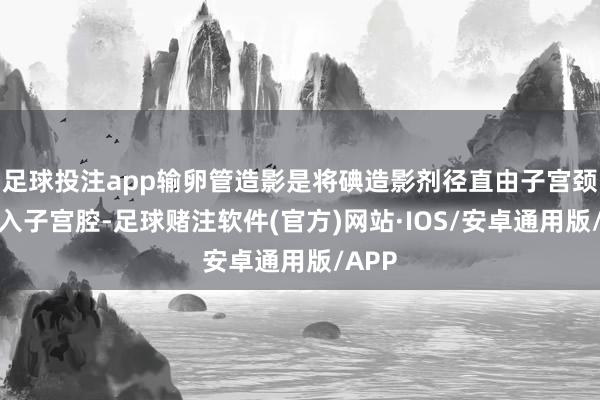 足球投注app输卵管造影是将碘造影剂径直由子宫颈管注入子宫腔-足球赌注软件(官方)网站·IOS/安卓通用版/APP