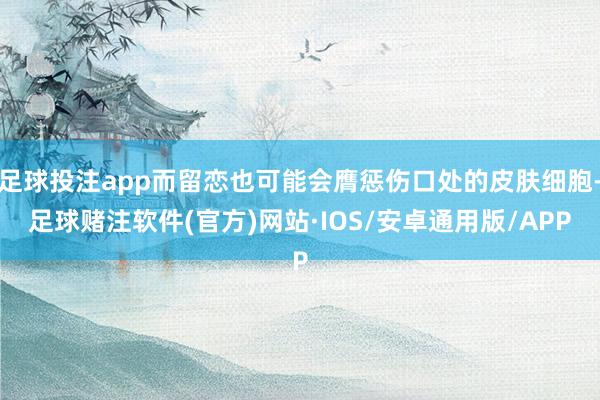 足球投注app而留恋也可能会膺惩伤口处的皮肤细胞-足球赌注软件(官方)网站·IOS/安卓通用版/APP