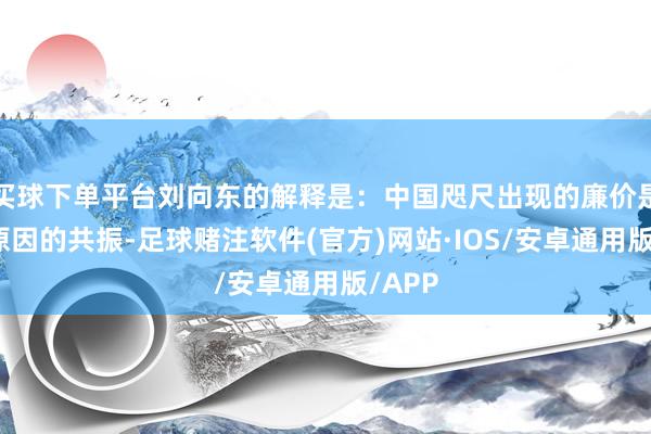 买球下单平台刘向东的解释是：中国咫尺出现的廉价是多种原因的共振-足球赌注软件(官方)网站·IOS/安卓通用版/APP