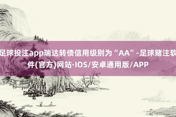 足球投注app瑞达转债信用级别为“AA”-足球赌注软件(官方)网站·IOS/安卓通用版/APP