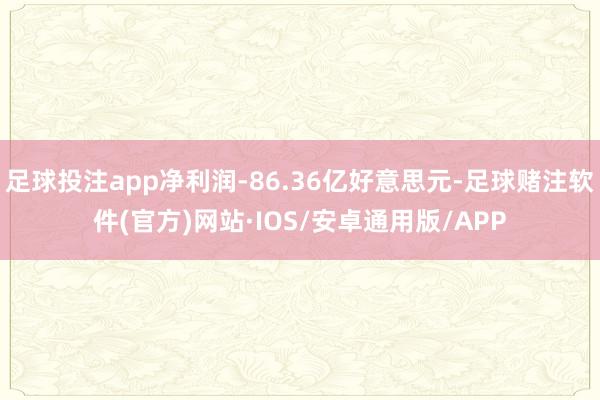 足球投注app净利润-86.36亿好意思元-足球赌注软件(官方)网站·IOS/安卓通用版/APP