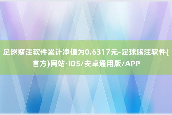 足球赌注软件累计净值为0.6317元-足球赌注软件(官方)网站·IOS/安卓通用版/APP