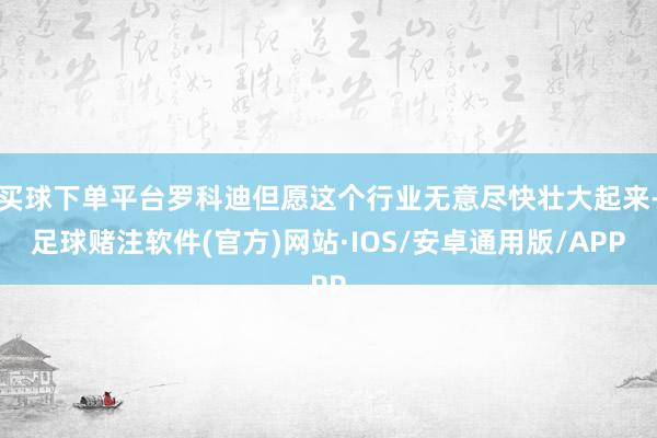 买球下单平台罗科迪但愿这个行业无意尽快壮大起来-足球赌注软件(官方)网站·IOS/安卓通用版/APP