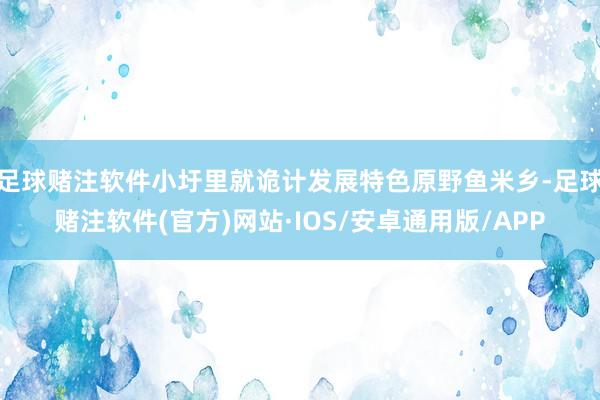 足球赌注软件小圩里就诡计发展特色原野鱼米乡-足球赌注软件(官方)网站·IOS/安卓通用版/APP