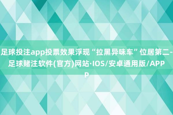 足球投注app投票效果浮现“拉黑异味车”位居第二-足球赌注软件(官方)网站·IOS/安卓通用版/APP