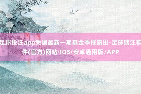 足球投注app凭据最新一期基金季报露出-足球赌注软件(官方)网站·IOS/安卓通用版/APP