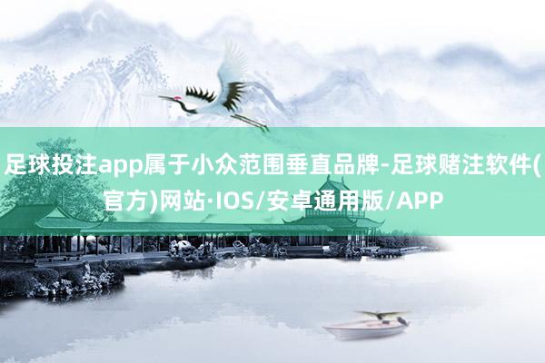 足球投注app属于小众范围垂直品牌-足球赌注软件(官方)网站·IOS/安卓通用版/APP