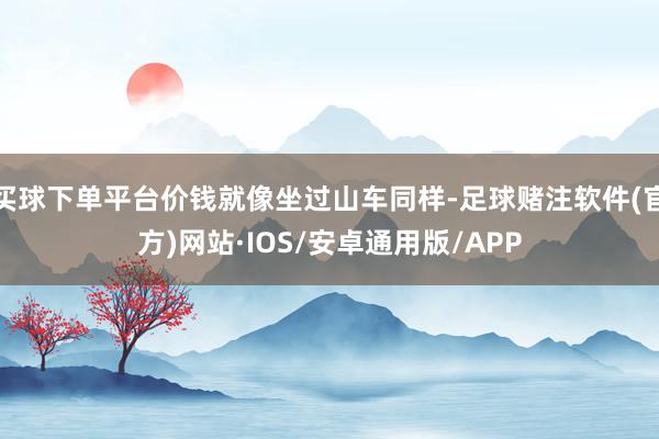 买球下单平台价钱就像坐过山车同样-足球赌注软件(官方)网站·IOS/安卓通用版/APP