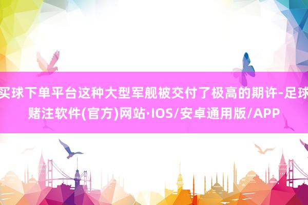 买球下单平台这种大型军舰被交付了极高的期许-足球赌注软件(官方)网站·IOS/安卓通用版/APP