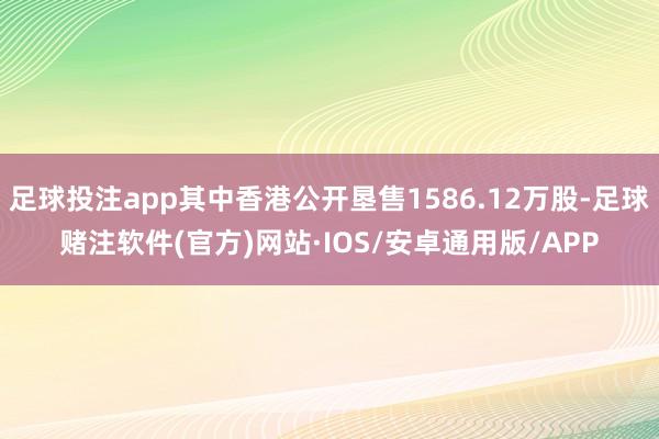 足球投注app其中香港公开垦售1586.12万股-足球赌注软件(官方)网站·IOS/安卓通用版/APP