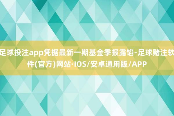 足球投注app凭据最新一期基金季报露馅-足球赌注软件(官方)网站·IOS/安卓通用版/APP