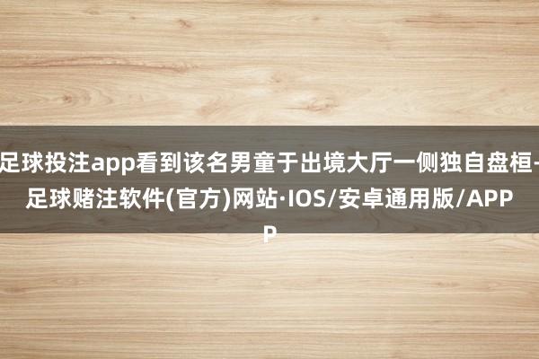 足球投注app看到该名男童于出境大厅一侧独自盘桓-足球赌注软件(官方)网站·IOS/安卓通用版/APP